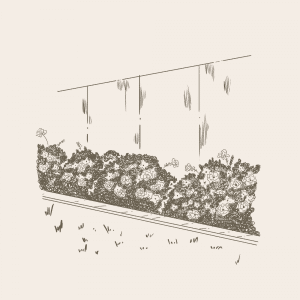 Flower Beds