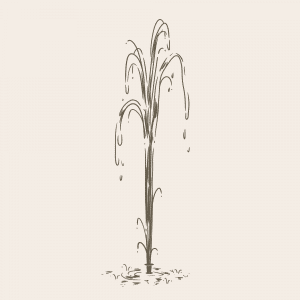 Fountain Jets