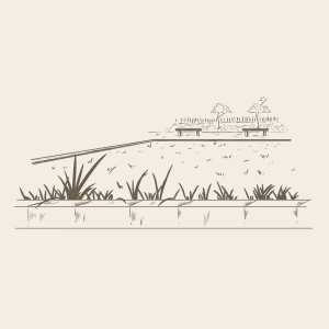Lawn